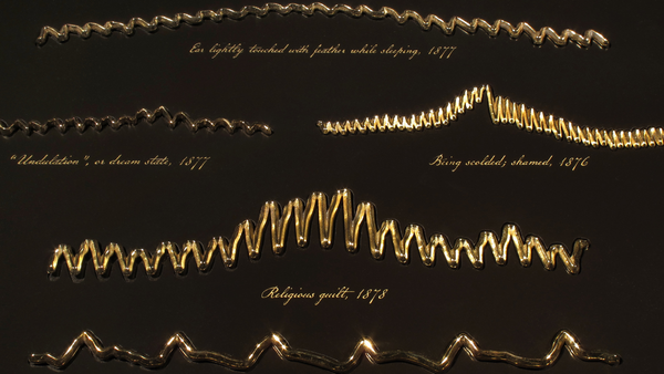 The Heart’s Knowledge: Science and Empathy in the Art of Dario Robleto