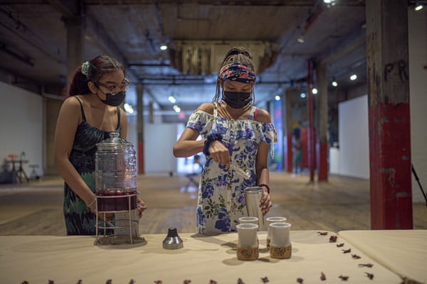 Creative Capital Grants Fund Basket-Weaving Robots and More