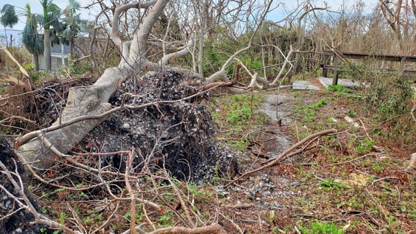 Native Landmarks Hard-Hit by Hurricane Ian, Researchers Say