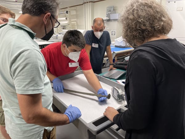Sword Thought to Be a Replica Is a Bronze Age Original