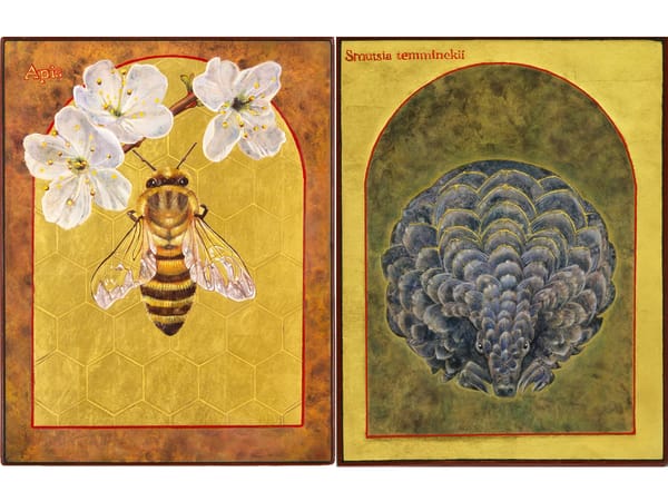 The Artist Painting Icons of Earth’s Endangered Species