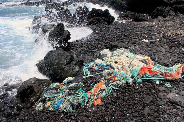 A Crowd-Sourced Archive of Our Oceans’ Plastics