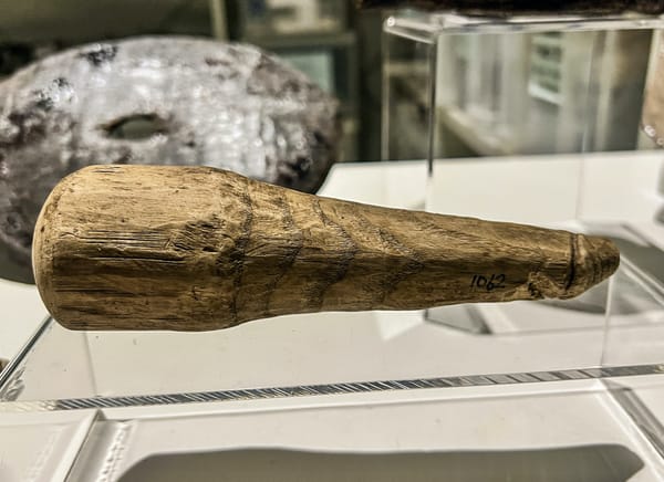 Could This Be the First-Known Ancient Roman Dildo?
