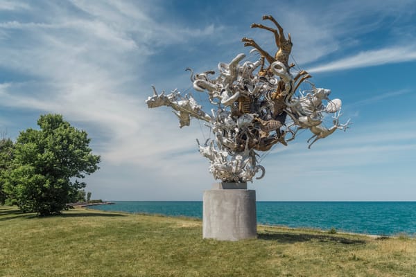 Nancy Rubins on Objects in the In-Between