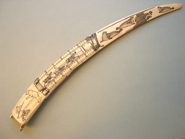 The Wider World and Scrimshaw