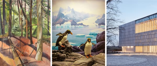 The Bruce Museum Announces Grand Reopening After $67M Expansion