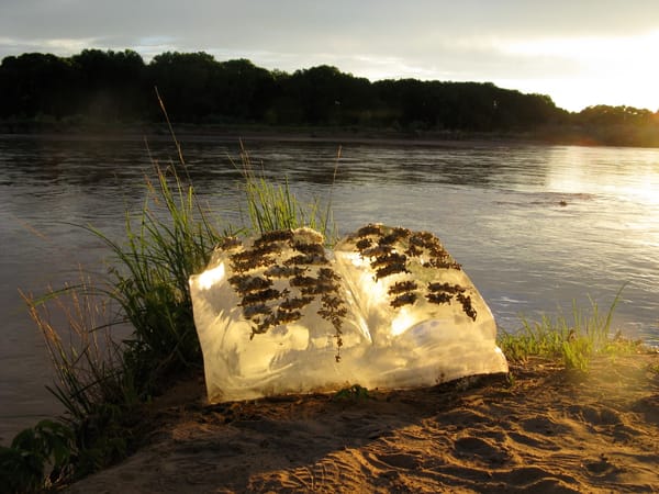 GOING WITH THE FLOW: ART, ACTIONS, AND WESTERN WATERS