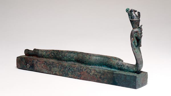 2,500-Year-Old Mummified Lizards Found in Ancient Egyptian Coffins