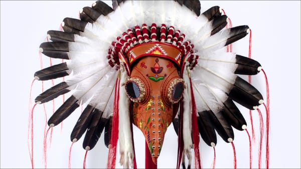 Nature, Crisis, Consequence at the New-York Historical Society