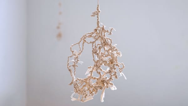 Parsons Fine Arts 2023 MFA Thesis Exhibition: Matter As Fallen Light