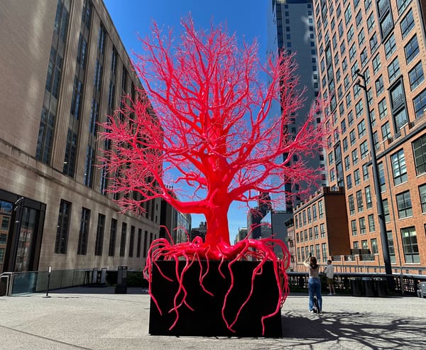 It’s Selfie Season at Manhattan’s High Line