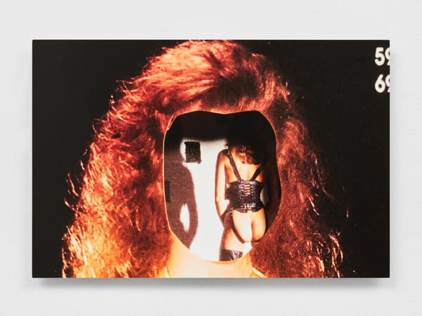 Trompe L’oeil With a Touch of BDSM