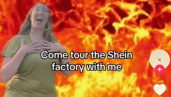 Shein's Influencer Trip Backfires Online