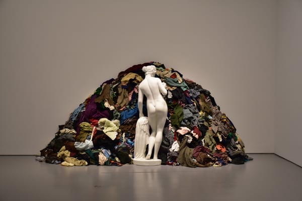 Naples Police Arrests Unhoused Man Suspected of Setting Fire to Artwork