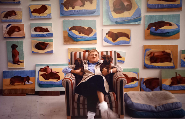 Every Dog Has Its Portrait