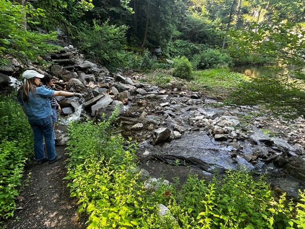 Extreme Floods Roil Hudson Valley Art Community