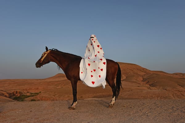 10 Art Shows to See in Chicago This Summer