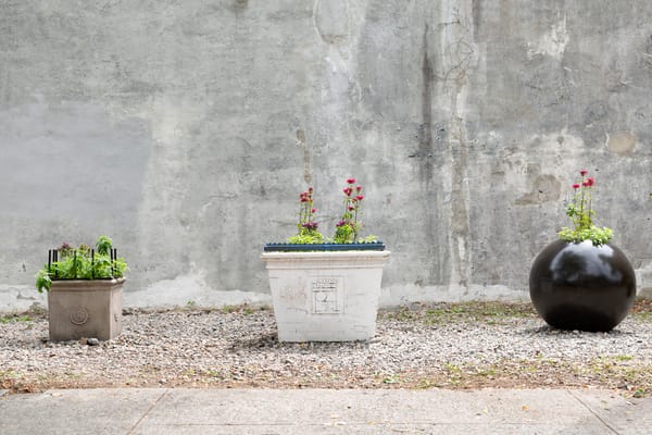 David L. Johnson's Critique of NYC Community Gardens