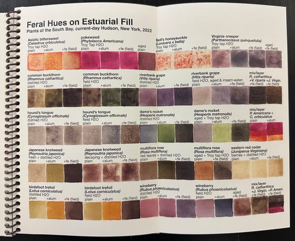 10 Questions for an Artist Who Grows Her Own Pigments