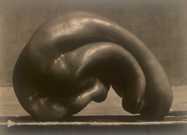 The Art, Politics, and Pleasures of Food