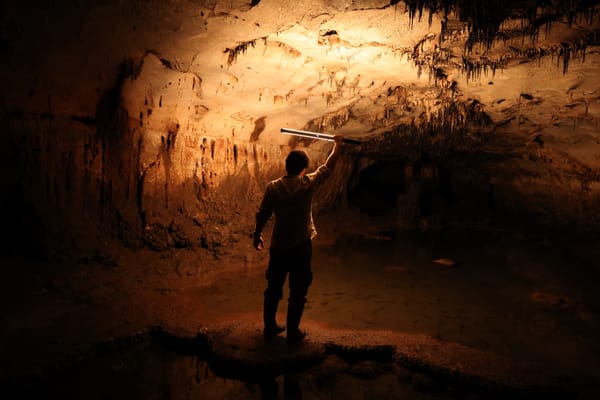 Archaeologists Reveal 110 Paleolithic Cave Markings in Spain
