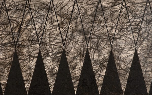 Two Native Artists Want to Reclaim Their Landscapes and Textiles