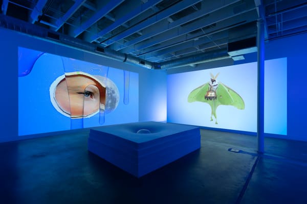 A Luna Moth Goes to the Moon