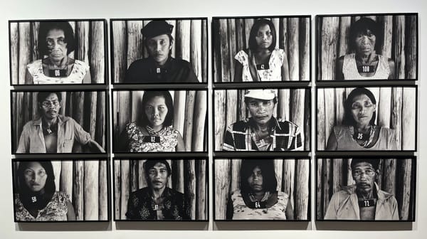 The Pleasures and Perils of the Amazon Rainforest