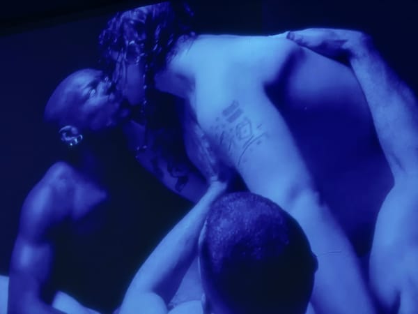 Sexual Liberation From Pasolini to Bruce LaBruce