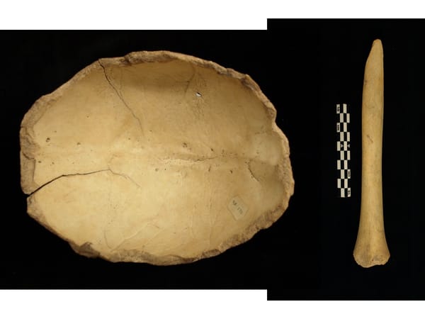 Did Our Ancestors Make Tools Out of Human Bones?