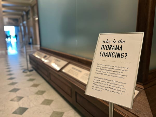 124-Year-Old Display With Human Skull Removed From Carnegie Museum