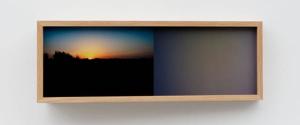 Contemporary Arts Museum Houston Celebrates 75th Anniversary With Six Scenes From Our Future