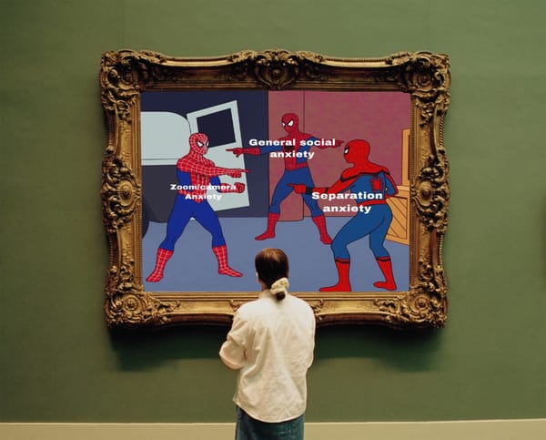 What If Memes Had Museum Wall Labels?