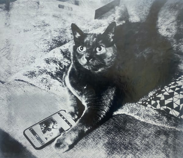 The Aesthetic Allure of Motherboards and Microchips