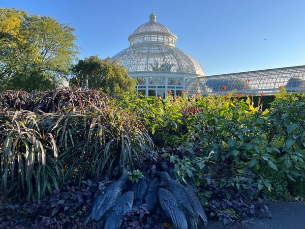 Ebony G. Patterson Invites Us to Reconsider the Botanic Garden