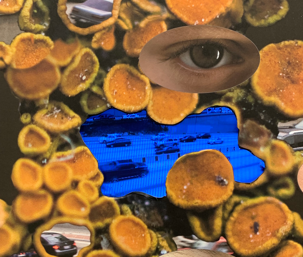 Towards a Better World With Kim Abeles