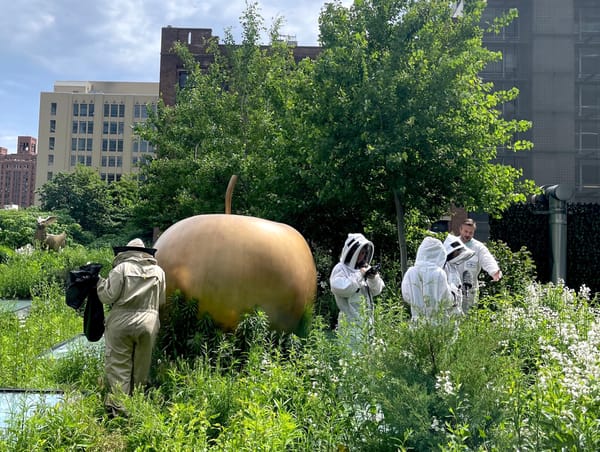 A Chelsea Gallery’s Secret Beekeeping Operation