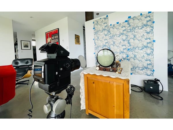 A View From the Easel