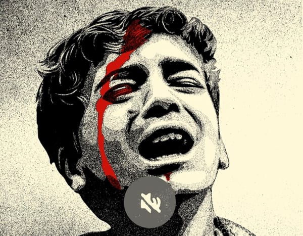 Street Artists Launch Poster Campaign for Gaza