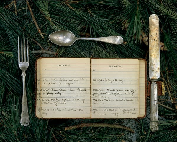 Rose Marasco Captures the Poetry of Domestic Objects