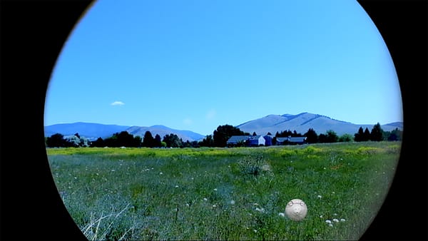 Japanese-American Internment’s Afterlife in Contemporary Art