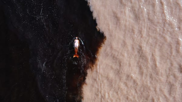 Pink Dolphins Bear Witness to the Amazon’s Destruction