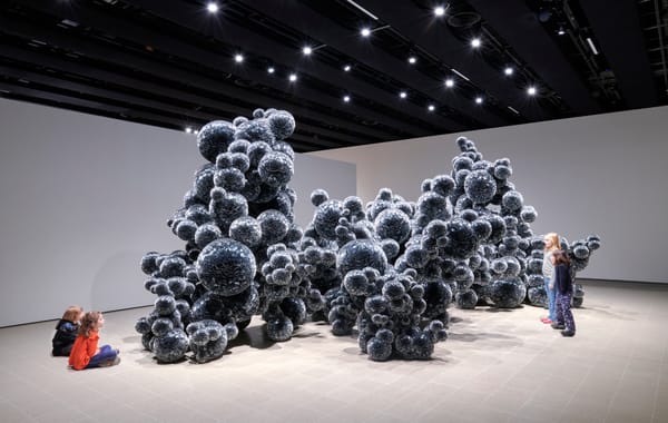 When Museums Become Instagram Bait