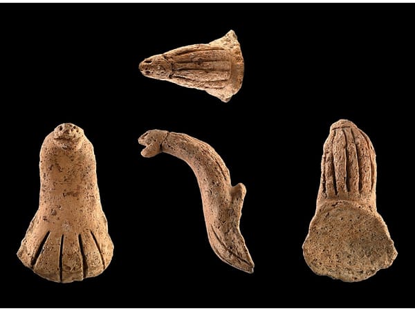 Ancient Snake-Shaped Artifact Found in Taiwan Was Part of Shamanic Rituals