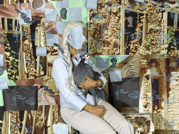 Inside the Life of Bird-Rehabilitator-Artist-Professor Sheida Soleimani