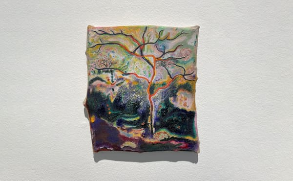 Javier Arce’s Collaboration With the Spanish Wilderness