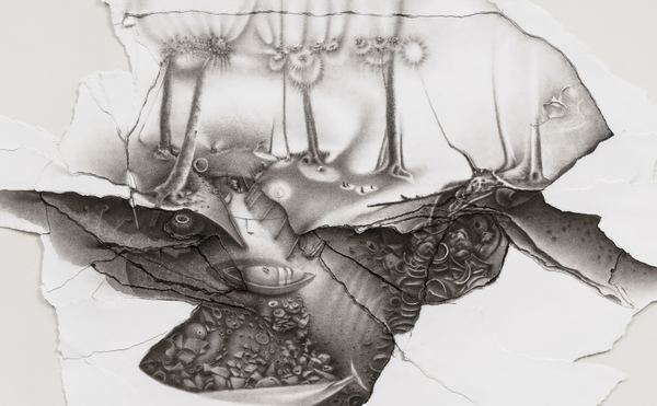 ArtYard Offers an Immersive Look Inside Charlotte Schulz’s Surreal Landscapes