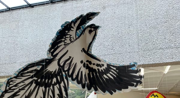 A Displaced Artist Finds Freedom in Flight