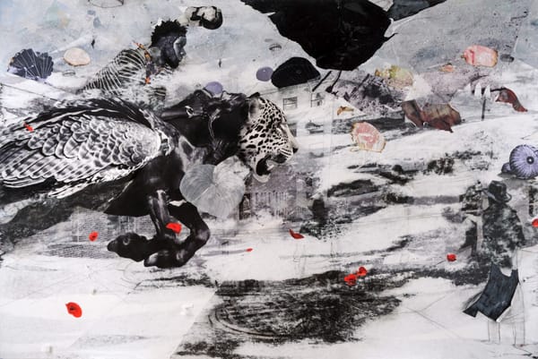 Migration Stories From World War II to Now