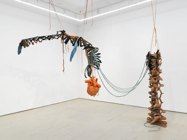 The Bone Magic of Joy Curtis